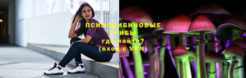 хочу   Гаврилов Посад  мега онион  Галлюциногенные грибы Cubensis 